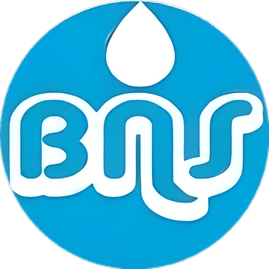 BNS Meters logo